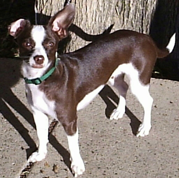 Trusted Seller !!! - Picture 2 of 8